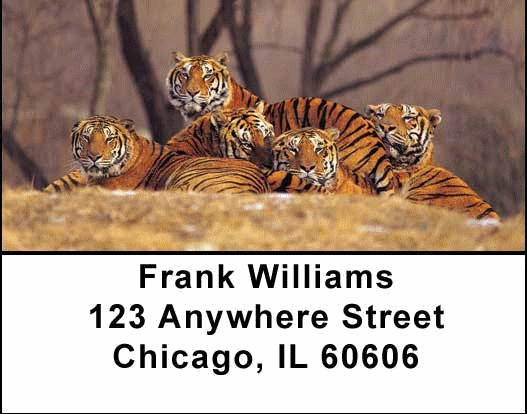 Bengal Tigers Address Labels