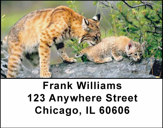 Bobcats Address Labels