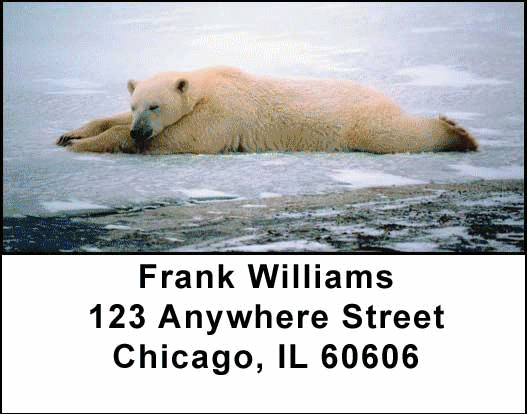 Arctic Bliss Address Labels