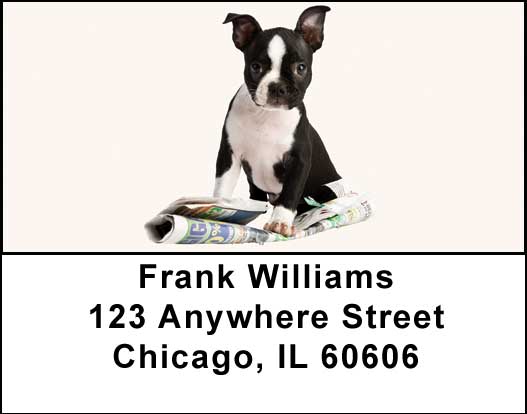Boston Terriers Address Labels