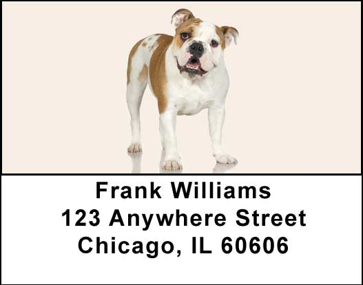 Bulldogs Address Labels