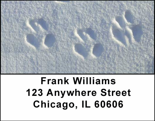 Animal Prints in the Snow Address Labels