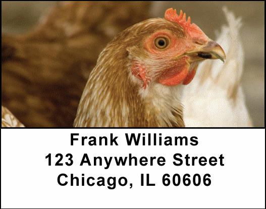 Chickens Address Labels