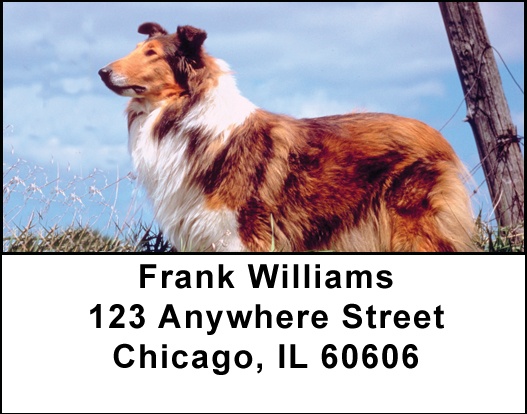 Collies Address Labels