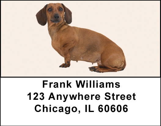 Dachshunds Address Labels