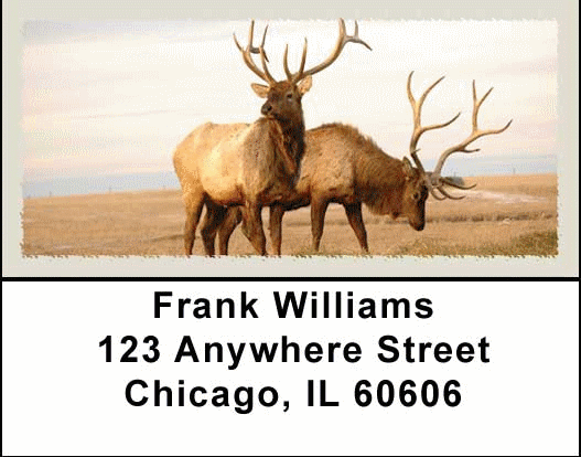 American Wildlife Address Labels