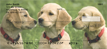 Cute Puppies Personal Checks