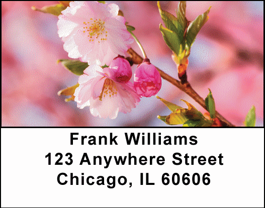 Cherry  Blossoms Address Labels