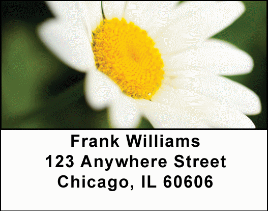 She Loves Me Address Labels