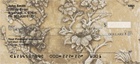 Asian Carvings Personal Checks