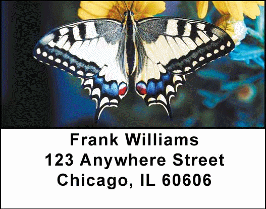 More Butterflies in Nature Address Labels