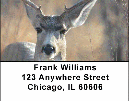 Deer in Four Seasons Address Labels