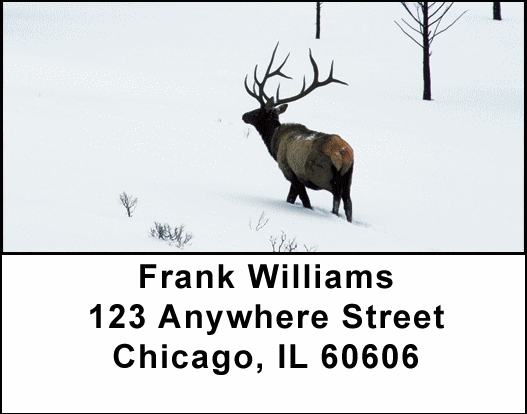 Elk Racks Address Labels