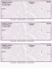 Violet Marble 3 Per Page Laser Checks Product Image