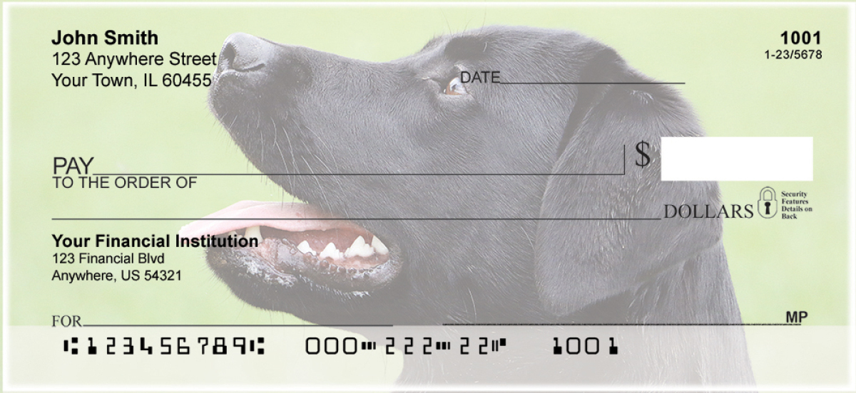 Black Labradors Personal Checks