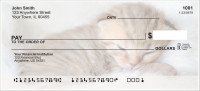 Sleepy Kittens Personal Checks | ANI-018