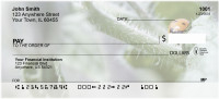 Lovely Ladybugs Personal Checks | ANJ-10