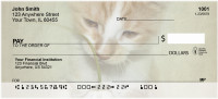 Flowers & Cats Personal Checks