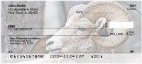 Big Horn Sheep Personal Checks | ANJ-66