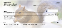 Squirrel Antics Personal Checks | ANJ-73