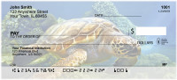 Swimming Sea Turtles Personal Checks