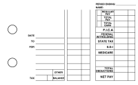 Veterinarian Multi Purpose Designer Business Checks  | BU3-CDS14-DEP