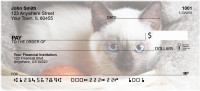 Siamese Cats Personal Checks | CAT-01