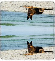 German Shepherd Leather Cover | CDP-DOG44