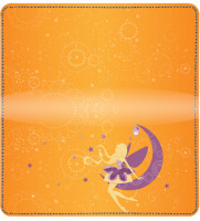 Pixie Dust Leather Cover | CDP-FUN004