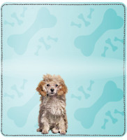 Poodle Pups Keith Kimberlin Leather Cover | CDP-KKM14