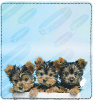 Yorkie Pups Keith Kimberlin Leather Cover | CDP-KKM16