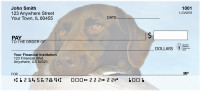 Labradors At Work Personal Checks | DOG-29