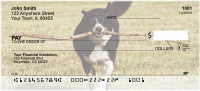 Bouncing Border Collie Personal Checks | DOG-68