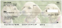 Cute Puppies Personal Checks | DOG-88