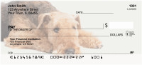 Airedale Terrier Personal Checks | DOG-89