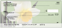 Dreamy Daffodils Personal Checks | FLO-72