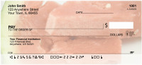 Watermelon Personal Checks | FOD-44