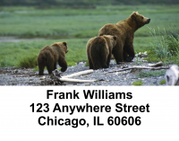 Bears in the Wild Address Labels | LBANI-10