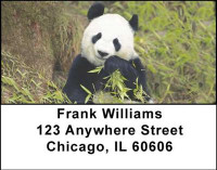 Panda Bears Address Labels | LBANI-11
