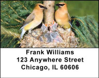 Baby Birds Address Labels | LBANI-16