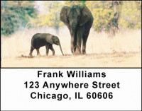 Elephants Address Labels | LBANI-22