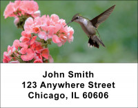 Hummingbirds Address Labels | LBANI-25