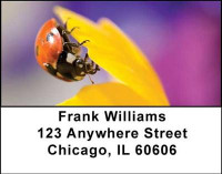Ladybugs Address Labels | LBANI-32