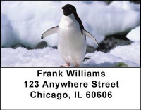 Penguins Address Labels | LBANI-33