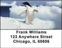 Penguins Inline Set of 215 Sheeted Address Labels