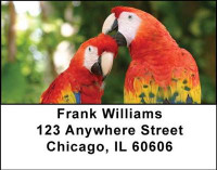 Parrots Address Labels | LBANI-41
