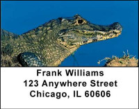 Alligators and Crocodiles Address Labels | LBANI-43