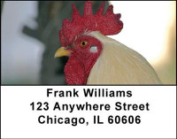 Chickens Address Labels | LBANI-53
