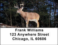 Deer Address Labels | LBANI-55