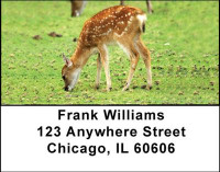 Deer Fawn Address Labels | LBANI-57